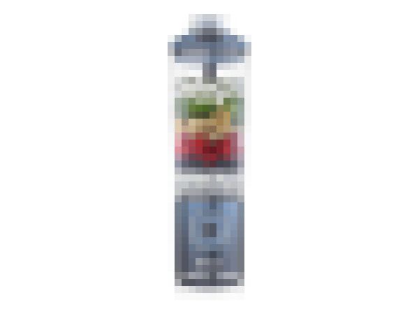 Ninja Blast Max BC251EUNV - Blender - 570 ml - trådløs - blå billede 1