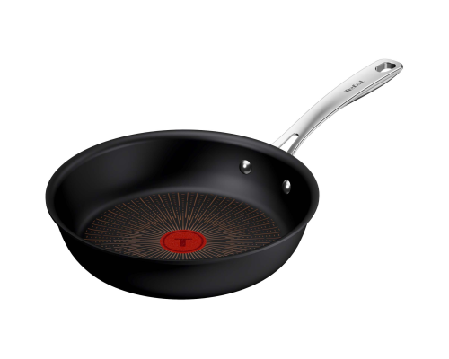 Tefal Excellence Plus Ø24 stegepande