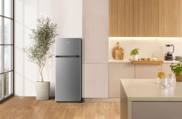 Gorenje RF414DPS4, 206 L, N-T, 2 kg/24t, D, Frisk zone, aflukke, Grå