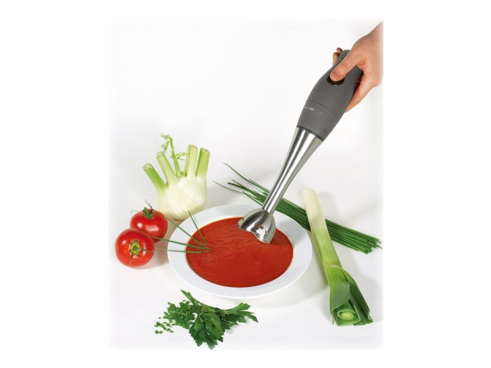 Clatronic SMS 3777 - Stavblender - 400 W - titanium/stainless steel billede 3