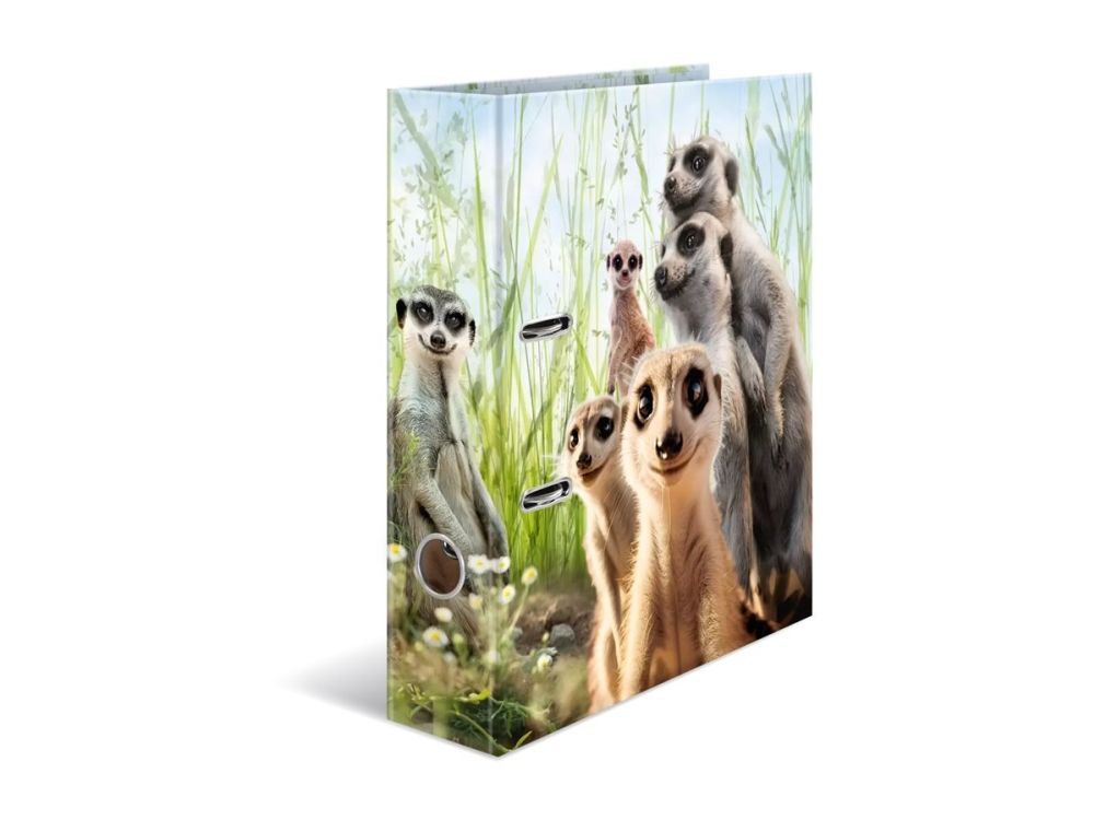 HERMA - Ringbind - rygbredde: 70 mm - for A4 (210 x 297 mm) - Motif file Meerkat billede 1