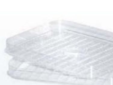 Steba 99.55.00, Bakke, Steba, Steba ED 5, Transparent, Plast, 2 stk