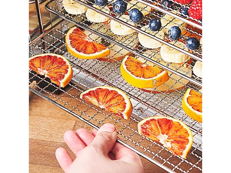 Gastroback Design Max - Fødevaretørrer - 900 W