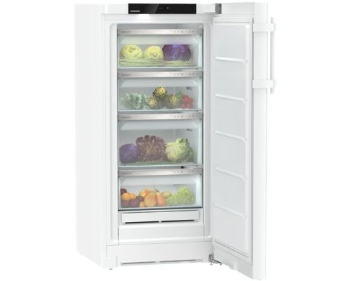 Liebherr RBa 4250-20 001 Fritstående køleskab billede 1