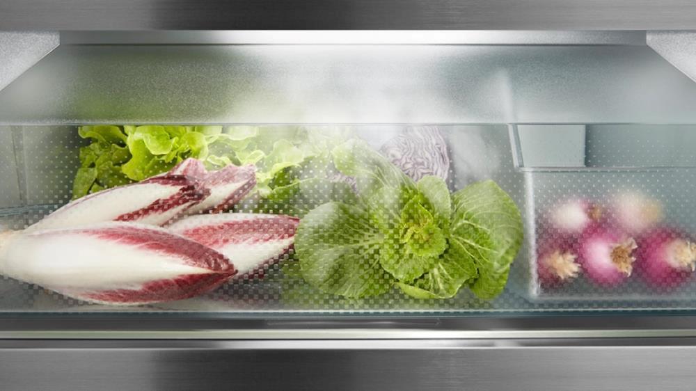 Liebherr SRBbsc 529i Peak BioFresh billede 5
