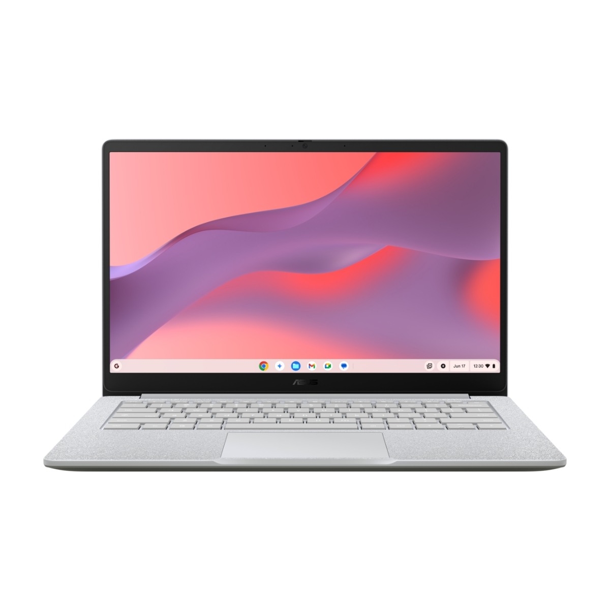 ASUS Chromebook CM15 CM1505CM4A-S70012 15,6" bærbar pc, Pure Grey billede 1