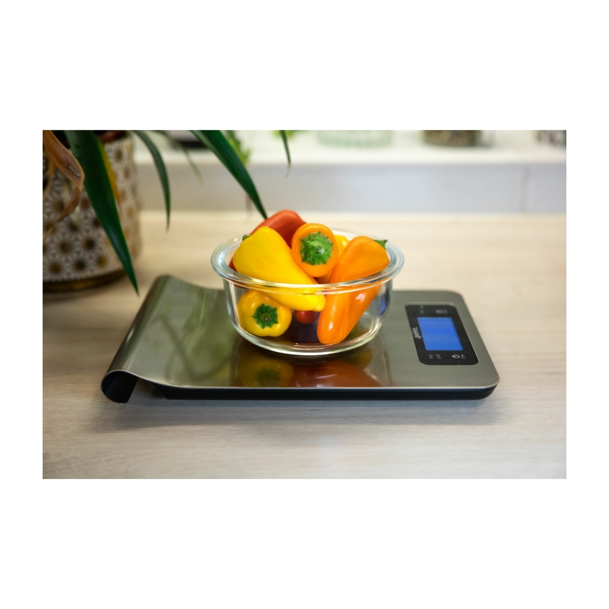 Point PO996 Kitchen scale