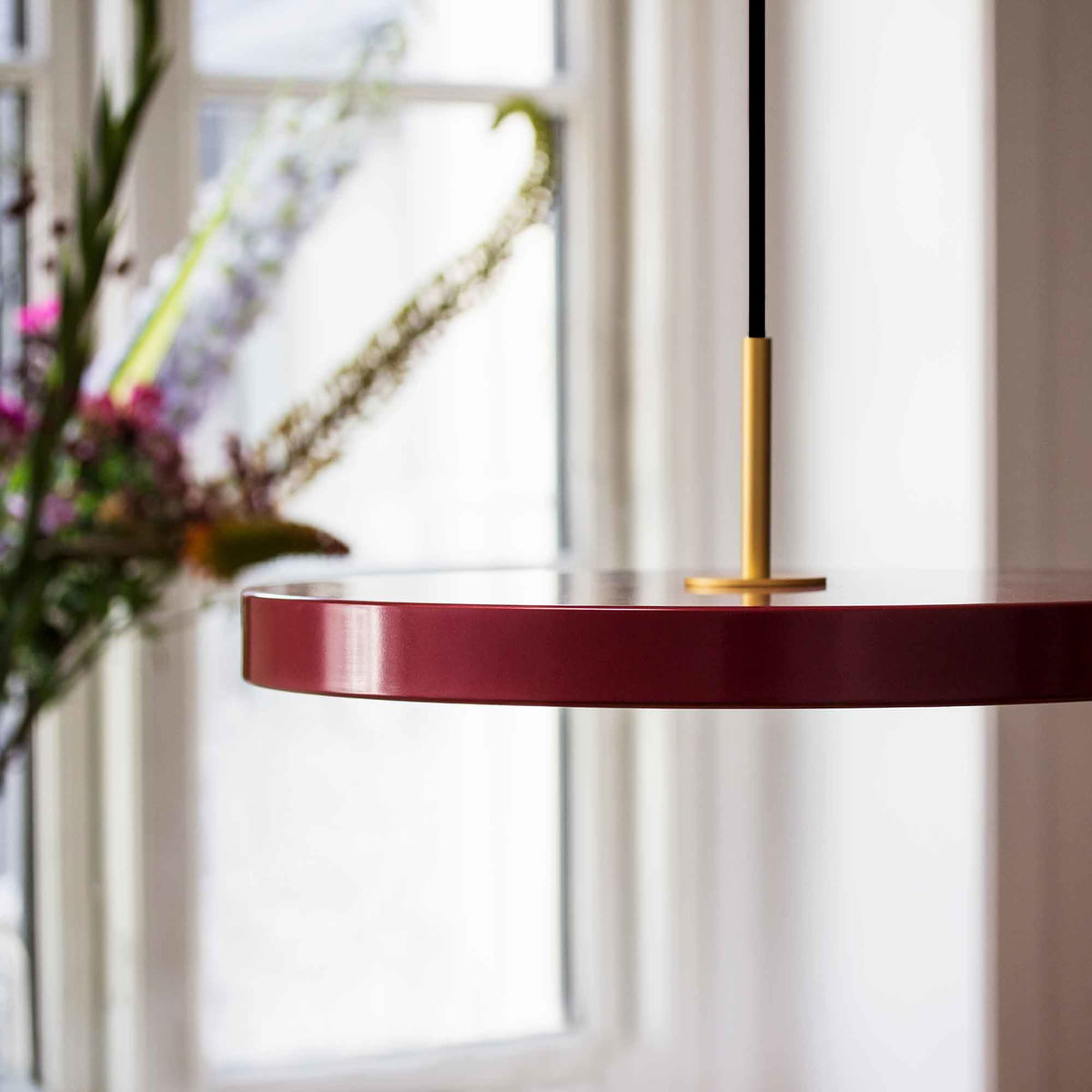 Asteria Mini Ø31 Pendel m. Messing Top, Rubin Rød billede 3