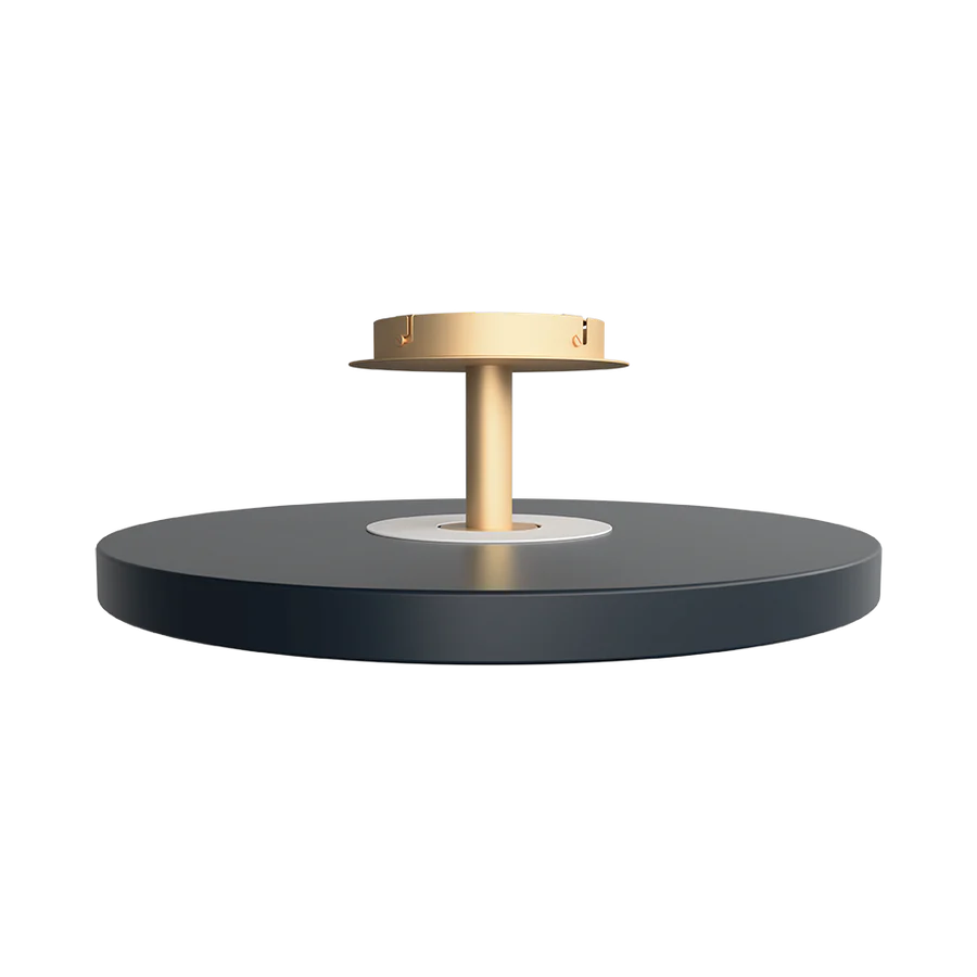 UMAGE Asteria Up Large Ø60 Antracit Grå - Loftslampe billede 2