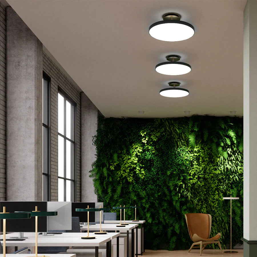 UMAGE Asteria Up Large Ø60 Sort - Loftslampe billede 3