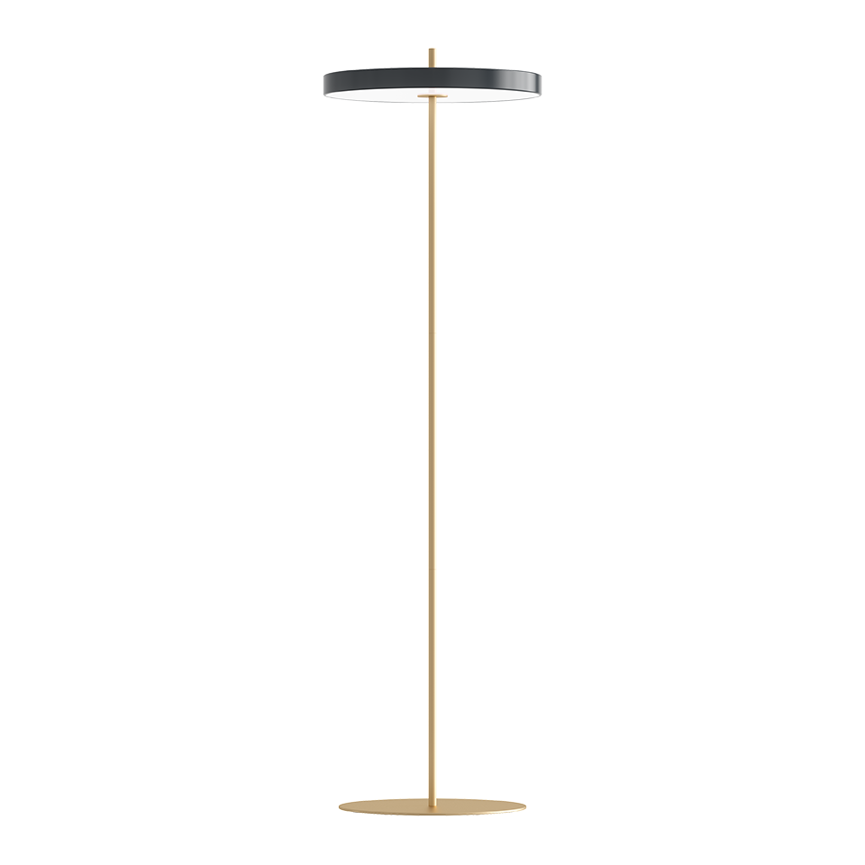 UMAGE Asteria Floor Ø43 Antracit Grå - Gulvlampe billede 1