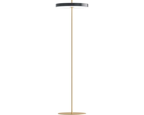 UMAGE Asteria Floor Ø43 Antracit Grå - Gulvlampe billede 2