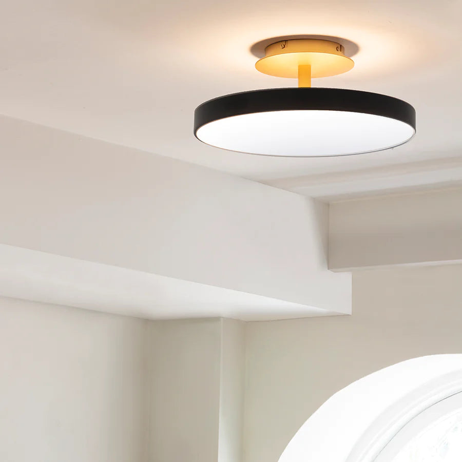 UMAGE Asteria Up Medium Ø43 Antracit Grå - Loftslampe billede 3