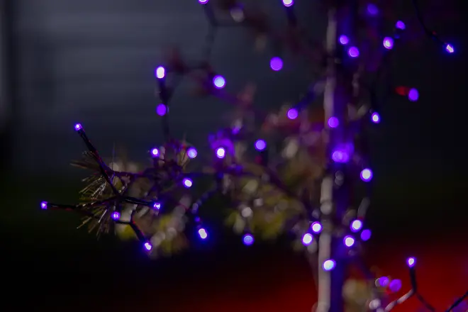 Lyskæde 100 LED - lilla billede 4