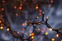 Lyskæde 200 LED - orange billede 3
