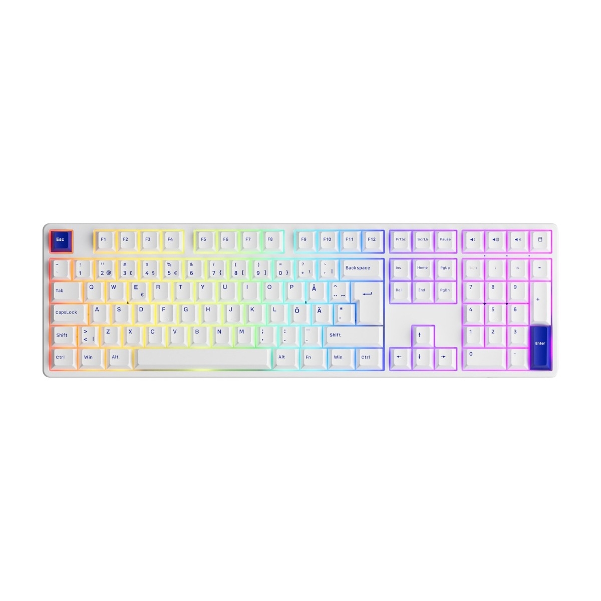 Akkogear 5108B Plus Bl/Wh CS Jelly pink gaming tastatur billede 1