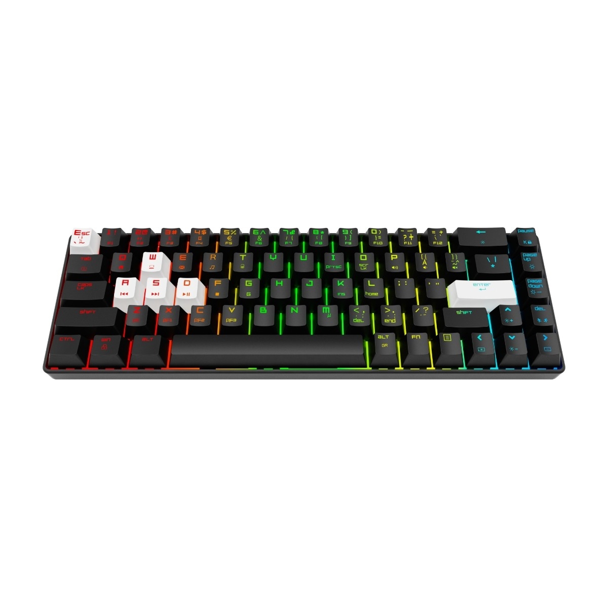 Cepter Alpha Pro gaming-tastatur billede 1