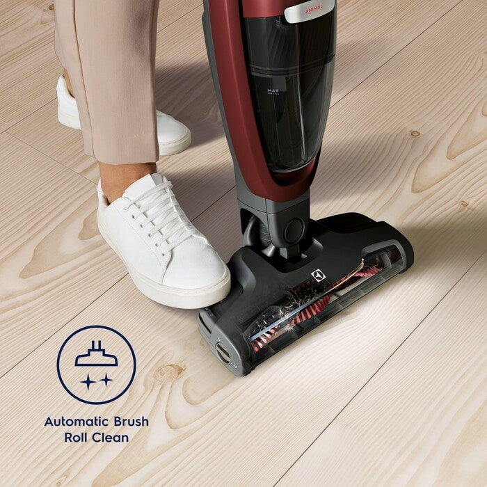 Electrolux WQ71-ANIMA Ledningsfri støvsuger billede 2