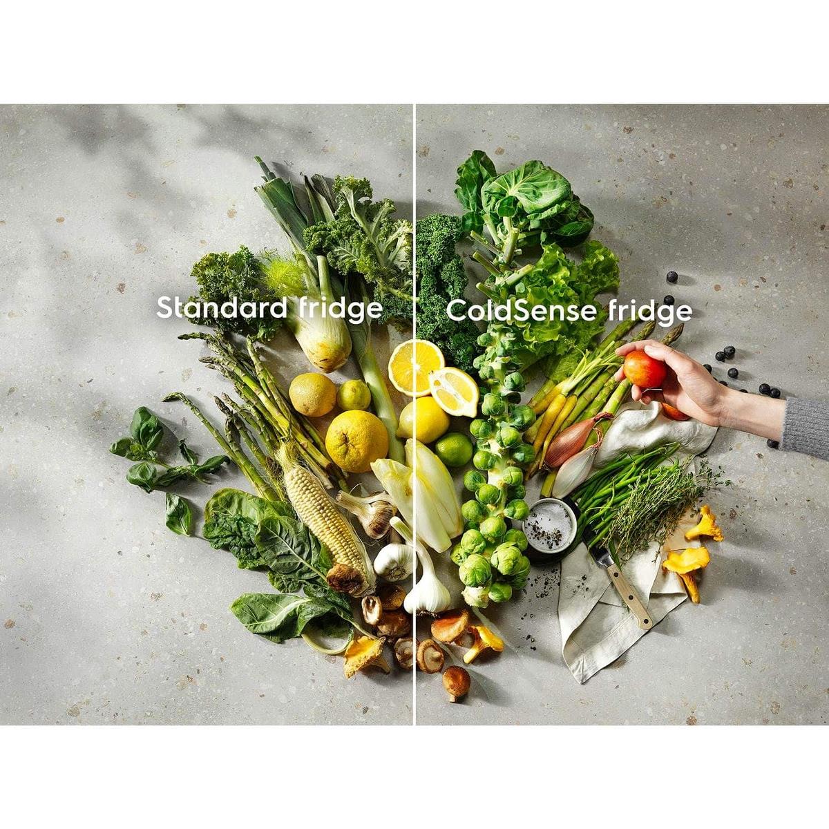 Electrolux ENB1LE34WR Fritstående kølefryseskab billede 3