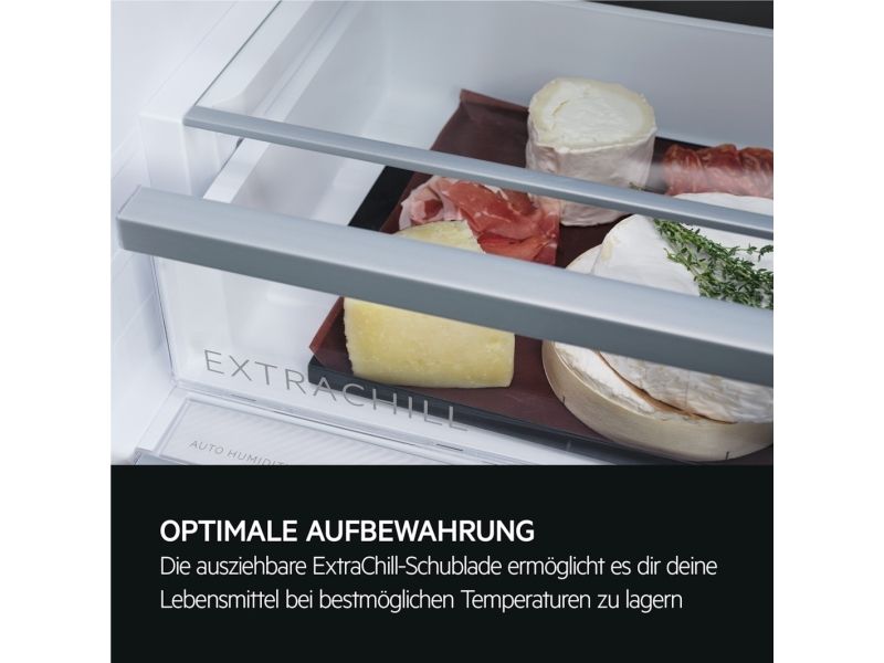 AEG ORK8M391DL Fritstående køleskab