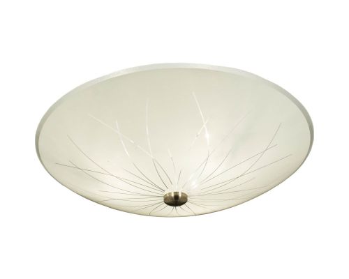 Aneta Nerine plafond billede 1