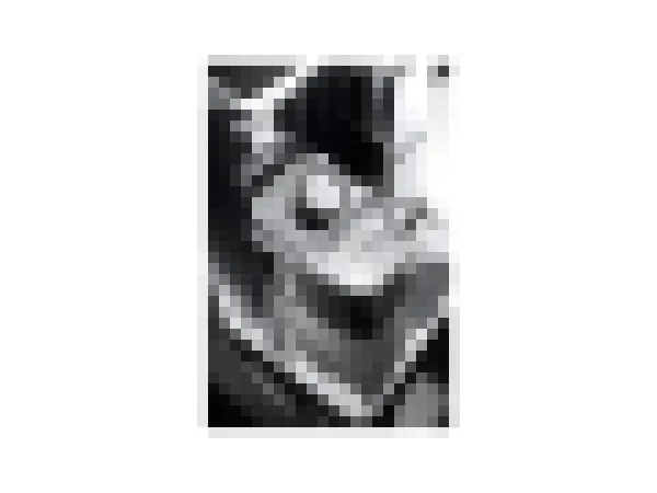 DeLonghi PrimaDonna Elite