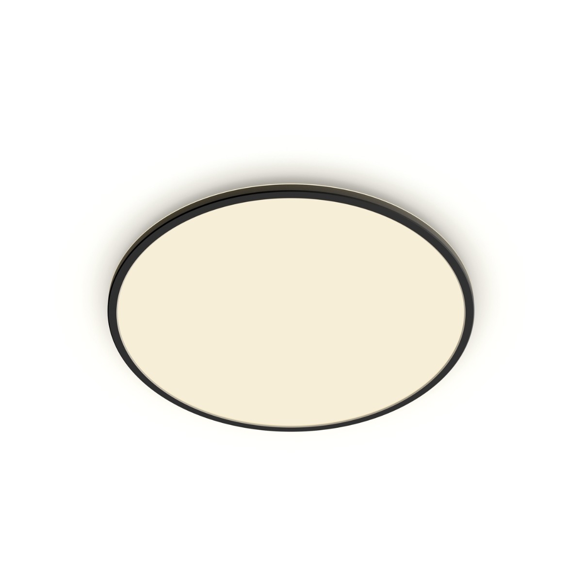 PHILIPS Loftlampe SceneSw. slim Ø25cm 15W IP54 sort billede 1