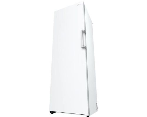 LG GFT41SWGSZ Fritstående fryseskab