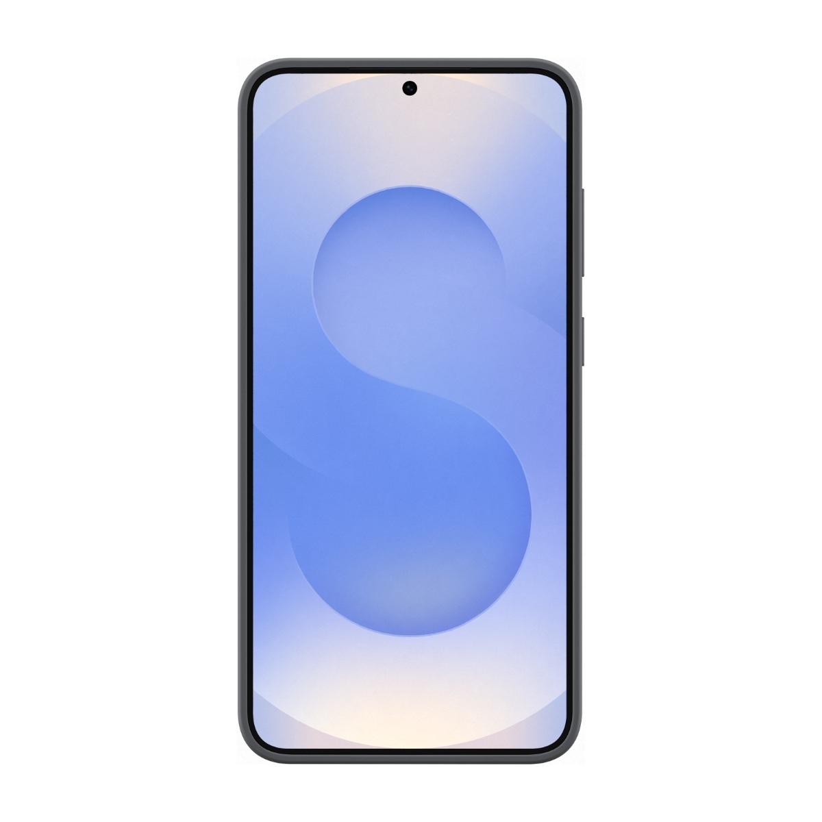 Samsung Galaxy S25+ Silicone Cover, sort billede 3