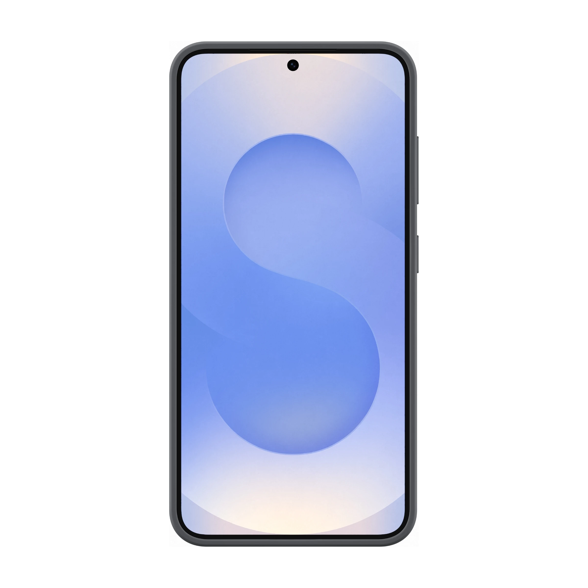 Samsung Galaxy S25 Silicone Cover, sort billede 2