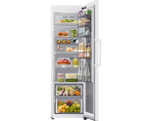Samsung RR70H39CEVEF fritstående køleskab billede 1