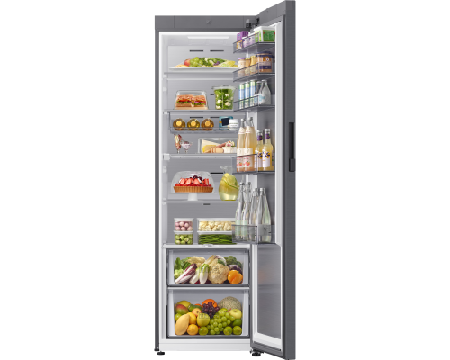 Samsung RR80H39CETEF fritstående køleskab